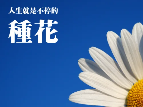 邱建勳醫師,極簡禪風。