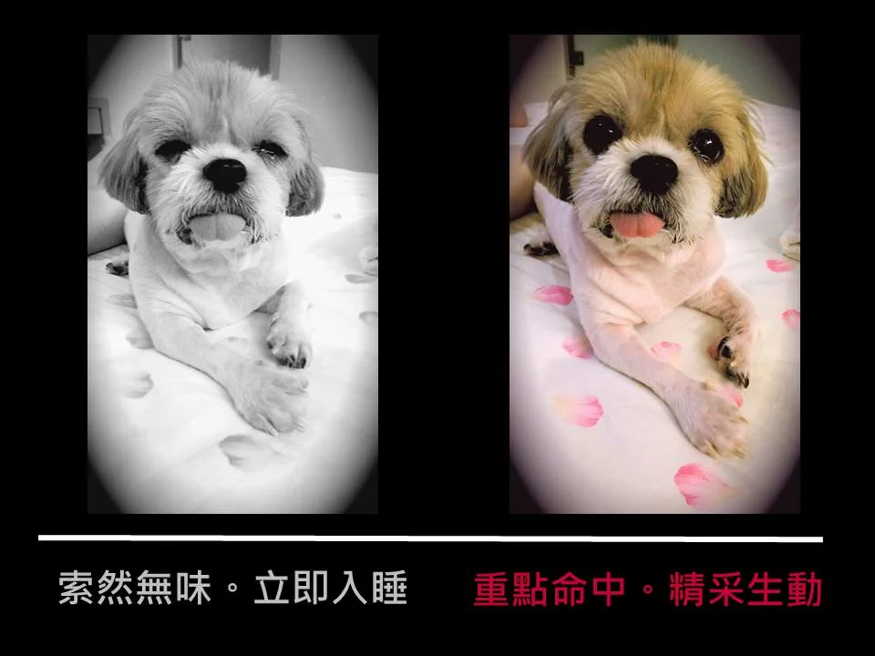 Su_Yuzhu01