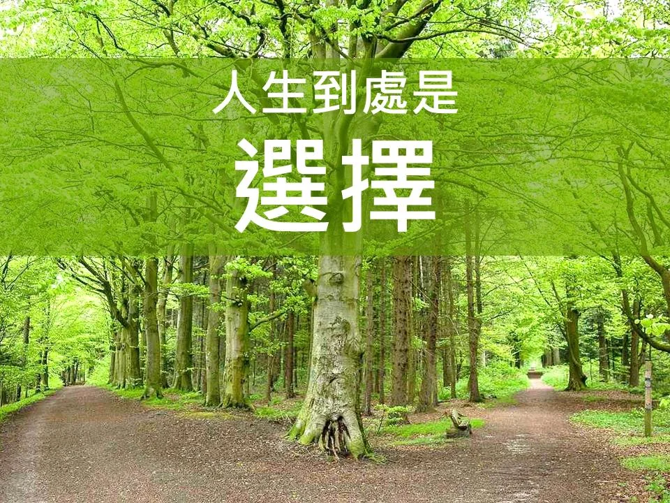 KuoGimi