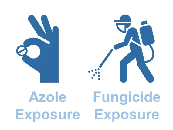 azole