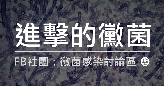 02_Taiwan IFI group