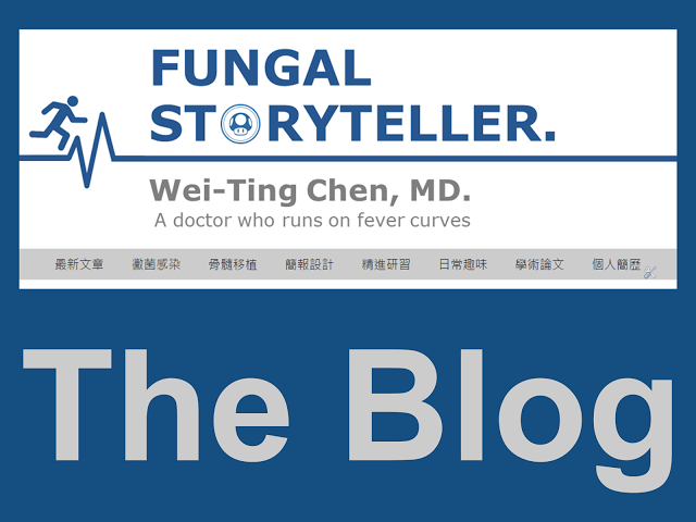 02_fungal storyteller